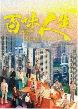 雾港档案悬疑剧集索引卡封面